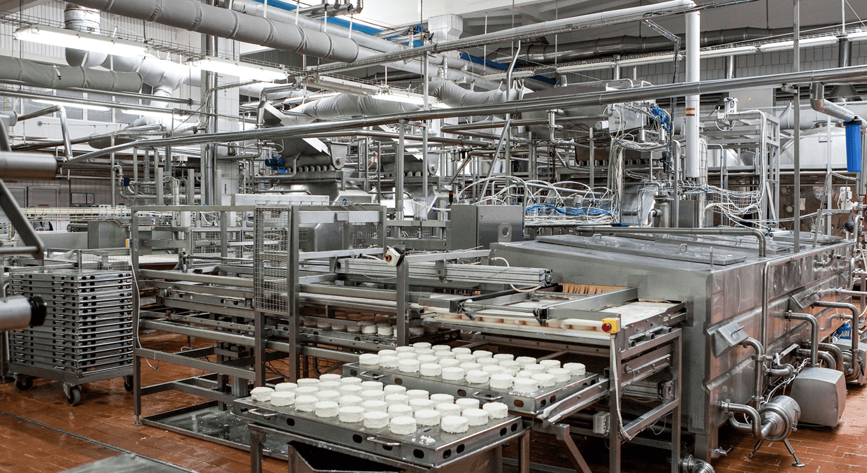 Food & Beverage Sector header