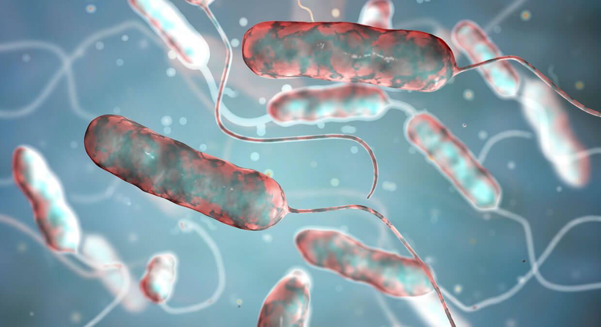 Water Hygiene Legionella Risk Assessment