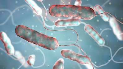 Bibby Stockholm Legionella