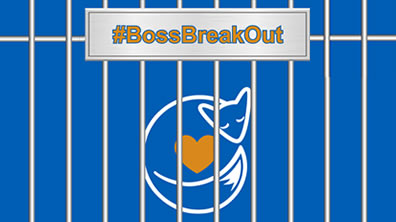 Boss Break Out